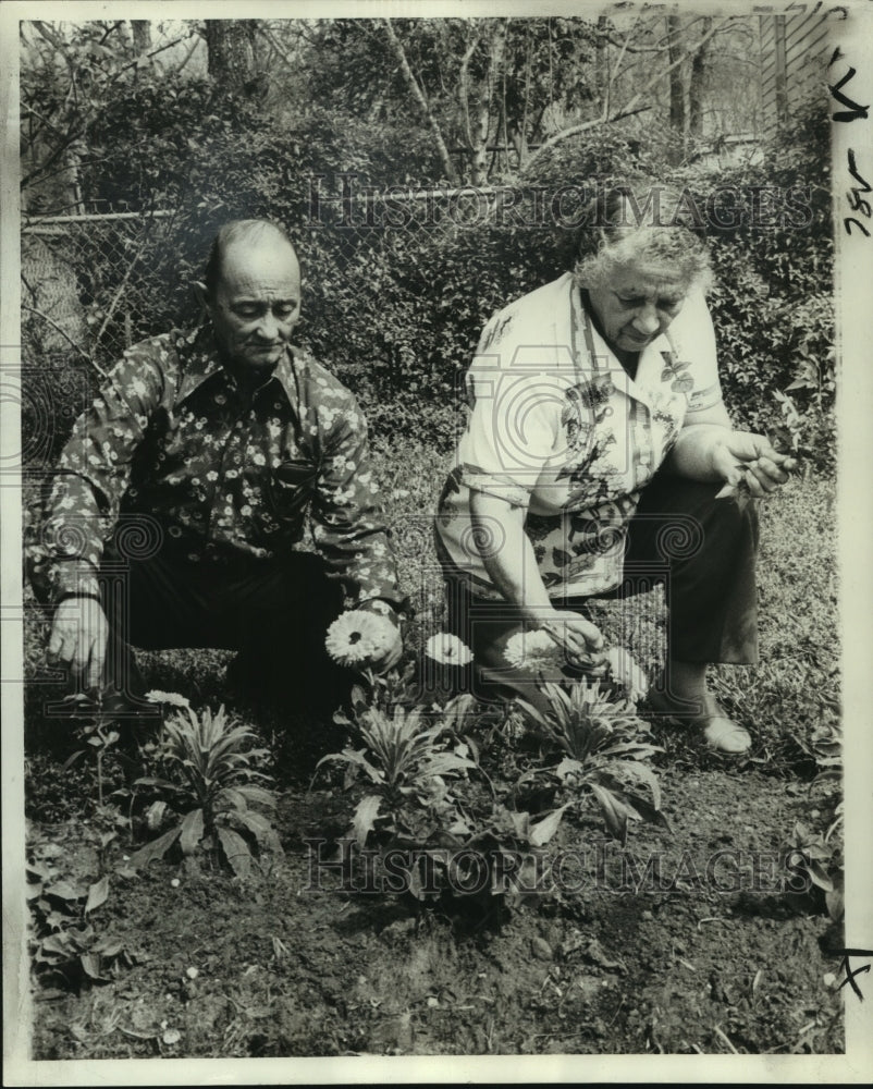 1978 Press Photo Mr. and Mrs. Elmo Cooper show early-blooming orange calendulas- Historic Images