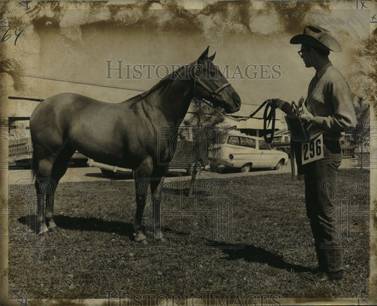 1970 Press Photo Jon Craig shows Zanty's Cat, a 4-year-old mare at horse show- Historic Images