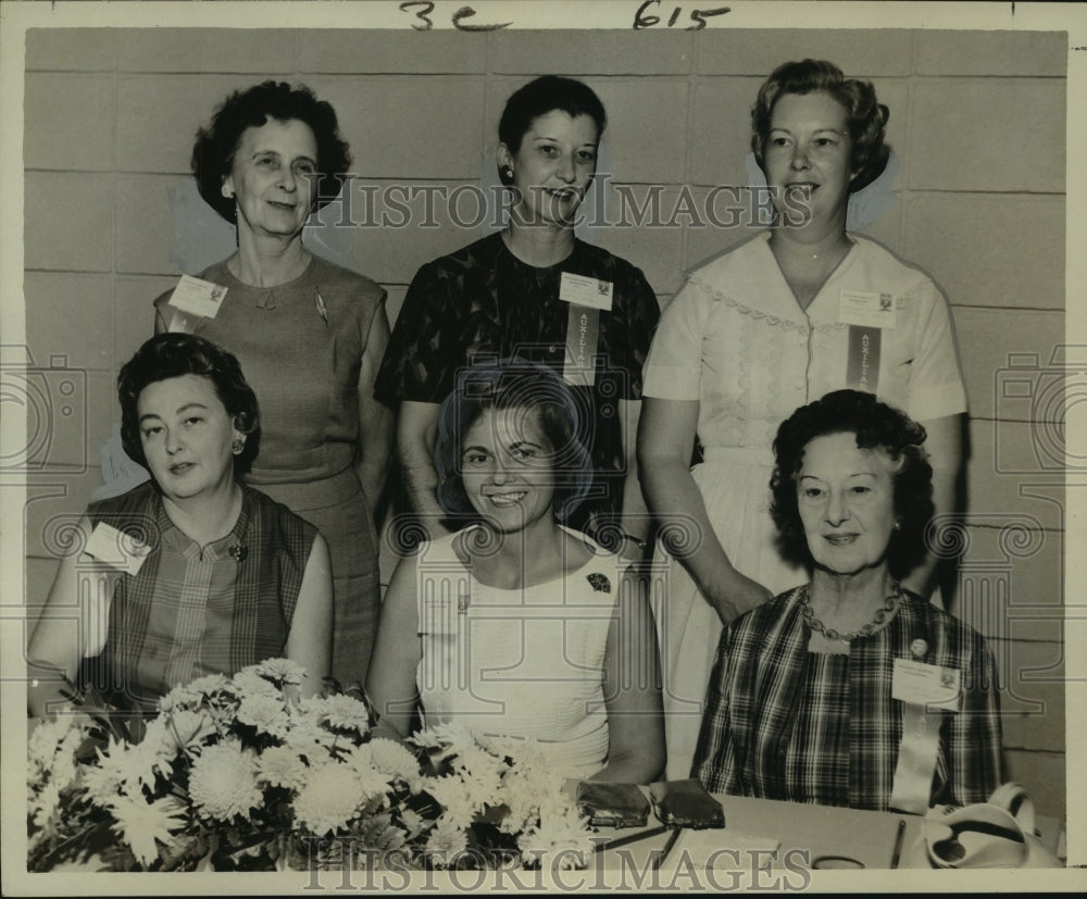 1963 Press Photo Members of the Council on Hospital Auxiliaries - noo08899
