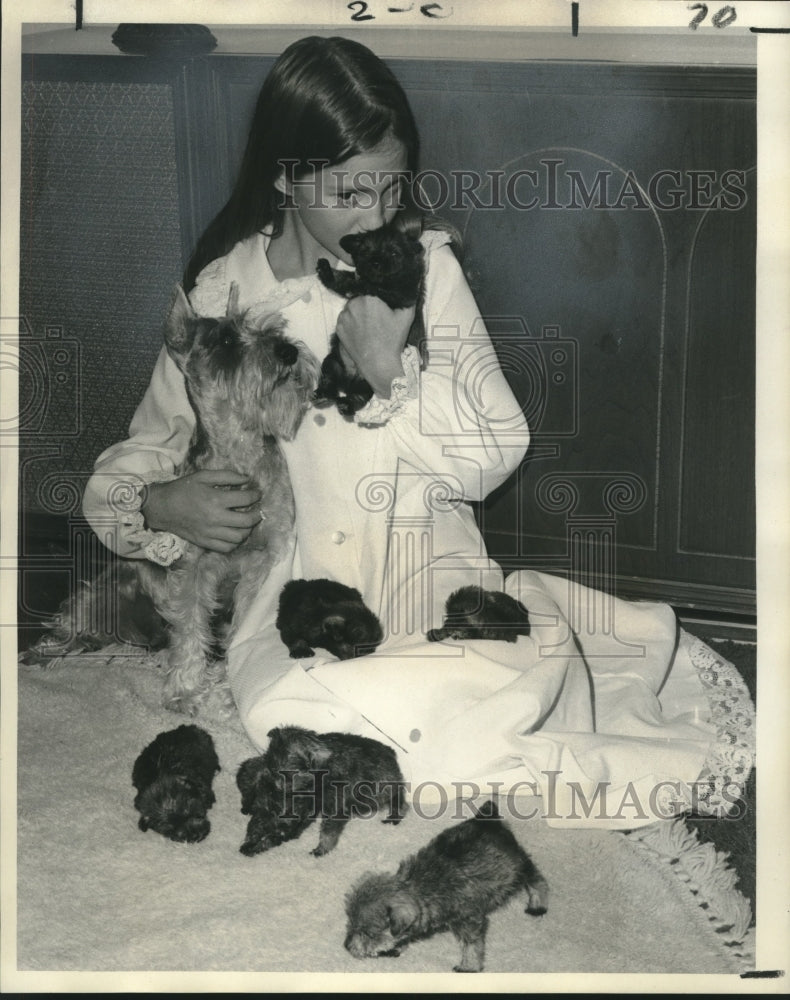Load image into Gallery viewer, 1971 Press Photo Melanie Ann Normand with schnauzer mother &amp; puppies at her home
