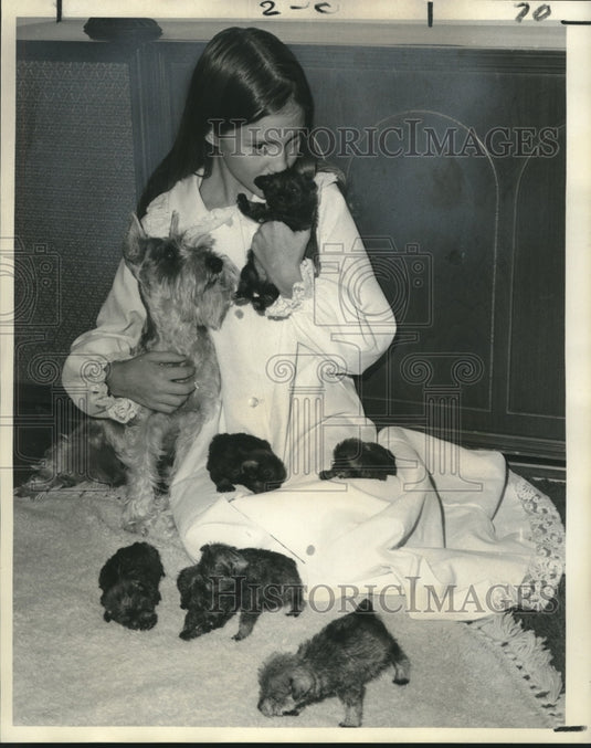 1971 Press Photo Melanie Ann Normand with schnauzer mother & puppies at her home