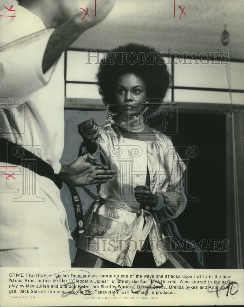 1973 Press Photo Actress Tamara Dobson in "Cleopatra Jones"- Historic Images