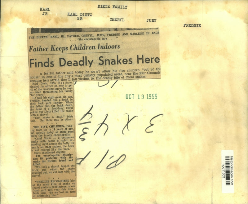 Load image into Gallery viewer, 1955 Press Photo Karl Dietz Jr. and his children read encyclopedia about snakes
