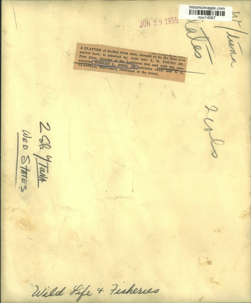 1955 Press Photo Robert L.Eddy, fellow Wild Life & Fisheries Commission officers