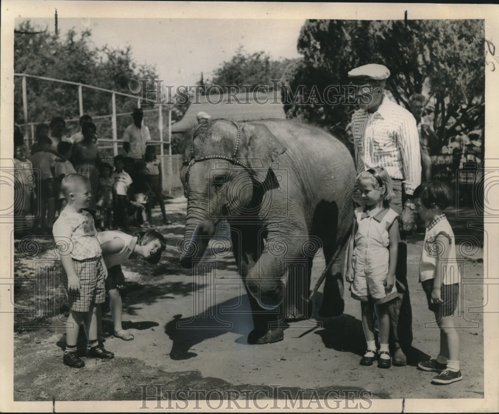 1959 Press Photo Audubon Zoo Visitors with Elephant Named Rock &#39;n Roll