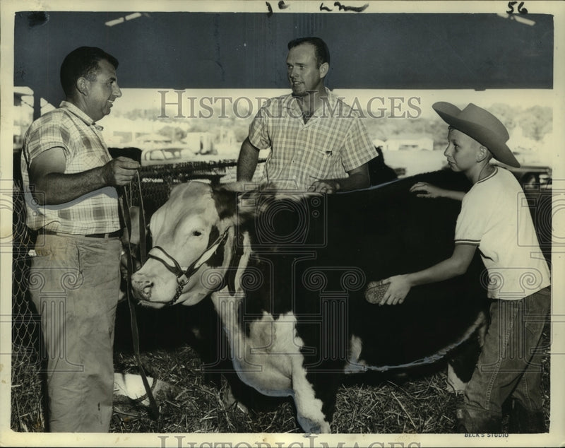Load image into Gallery viewer, 1959 Press Photo Young Camille Esneault Jr. grooming livestock for fair
