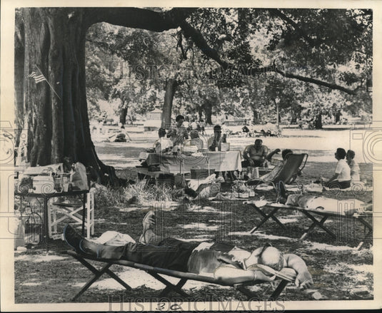 1965 Press Photo Families picnic at Audubon Park during 4th of July Celebration