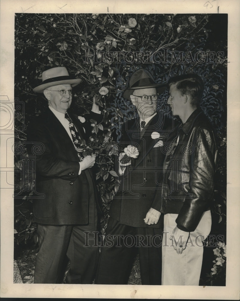 1951 Press Photo Members of New Orleans Men's Camellia Club with Camellia Plant
