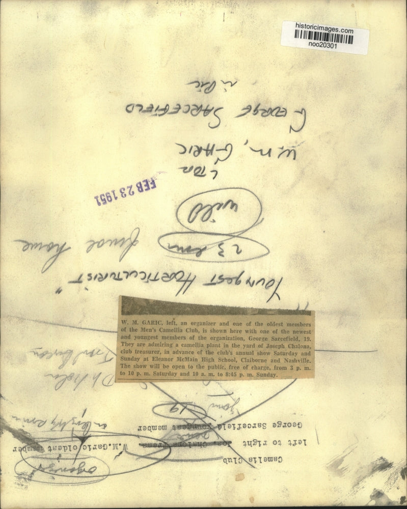 1951 Press Photo Members of New Orleans Men's Camellia Club with Camellia Plant