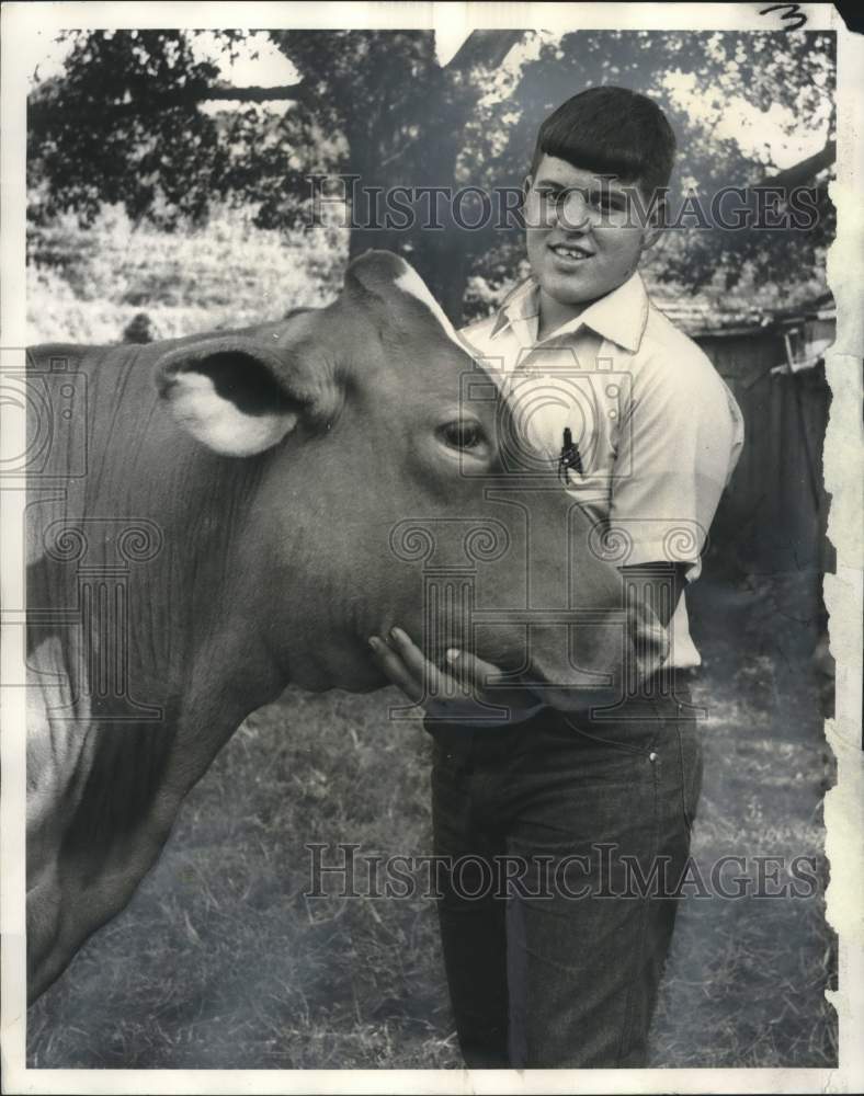 Load image into Gallery viewer, 1970 Press Photo Ronald St. Amand, Good Provider winner with his prize Guernsey
