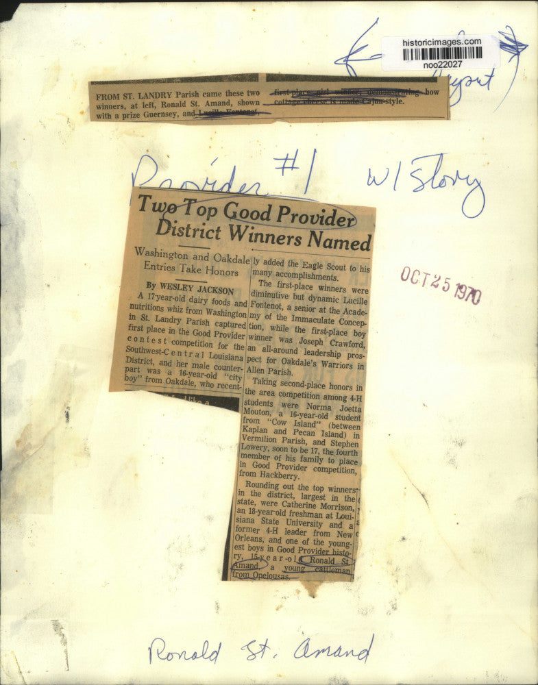 1970 Press Photo Ronald St. Amand, Good Provider winner with his prize Guernsey