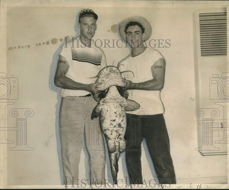Load image into Gallery viewer, 1958 Press Photo Warren "Bo" Giepert and Frank Lots, hold 28 pound catfish
