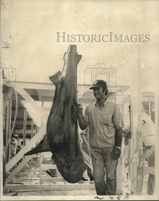 1972 Press Photo Golden Meadow International Tarpon Rodeo lands giant shark- Historic Images