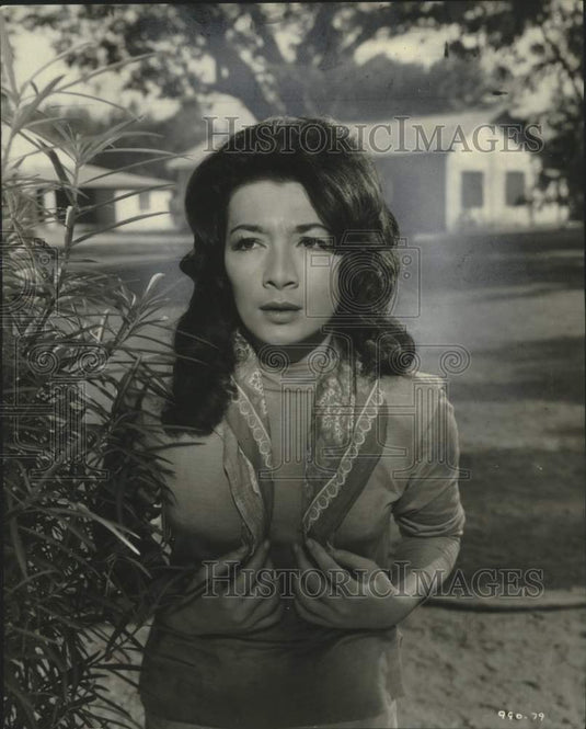1959 Press Photo Actress Juliette Greco in The Roots of Heaven - noo24812