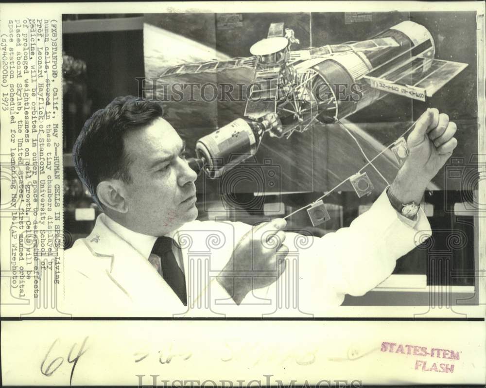 1973 Press Photo Professor Leonard Hayflick prepares human cells for space- Historic Images