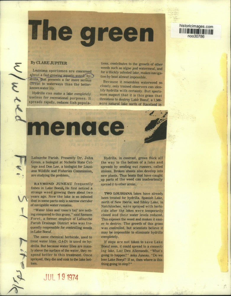 1974 Press Photo Fast-growing aquatic weed, hydrilla in Louisiana - noo30786