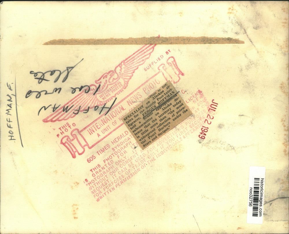 1949 Press Photo Fergus Hoffman, specialist on Alaskan affairs speaks to Senate