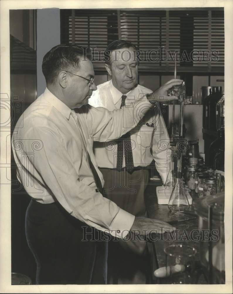 Load image into Gallery viewer, 1961 Press Photo Dr. V.L. Frampton &amp; W.H. King working on a laboratory
