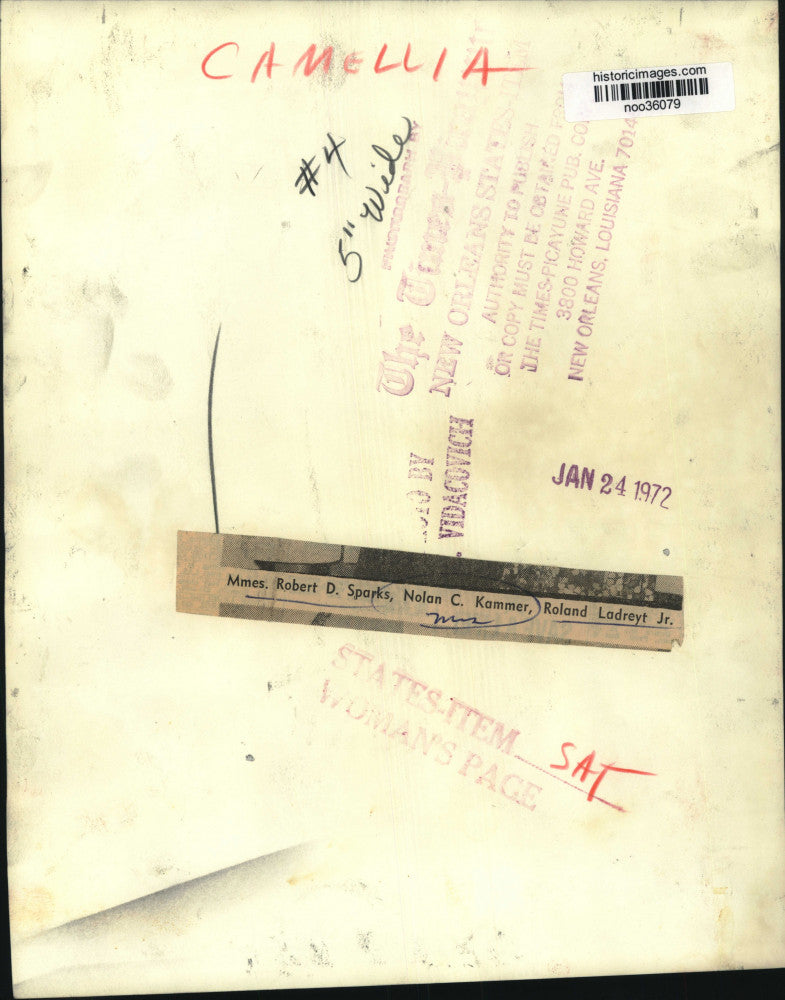 1972 Press Photo Mmes. Robert D. Sparks, Nolan C. Kammer, Roland Ladreyt