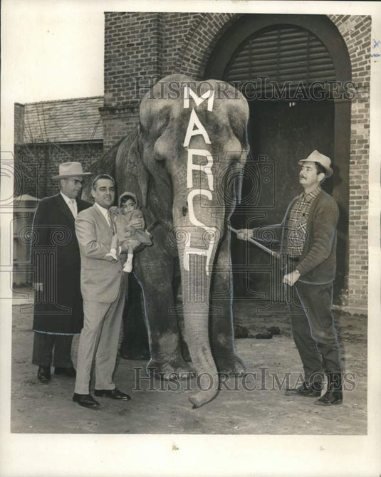 1967 Press Photo March of Dimes Poster Child Tony Michel & Ruth, circus elephant- Historic Images