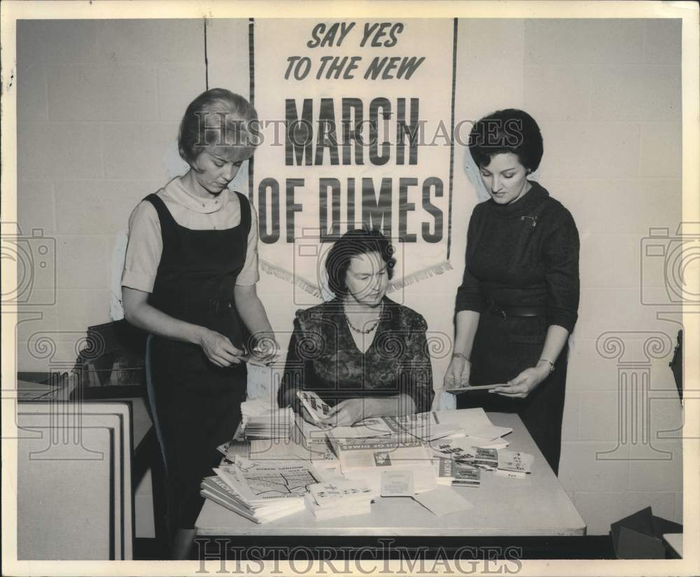1964 Press Photo Organizers of the Mothers&#39; March on Birth Defects - noo39530