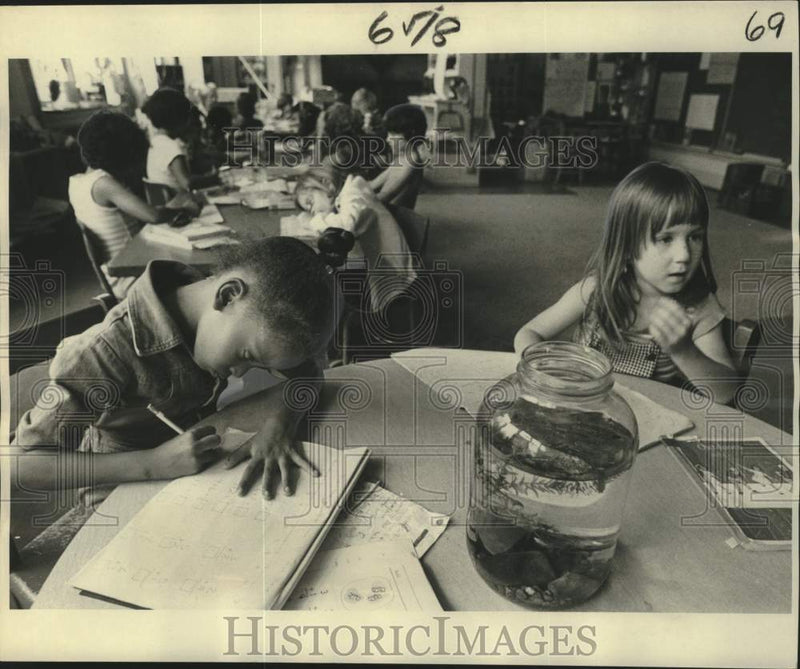 Load image into Gallery viewer, 1977 Press Photo 'Open classroom' environment at McDonogh 15, New Orleans
