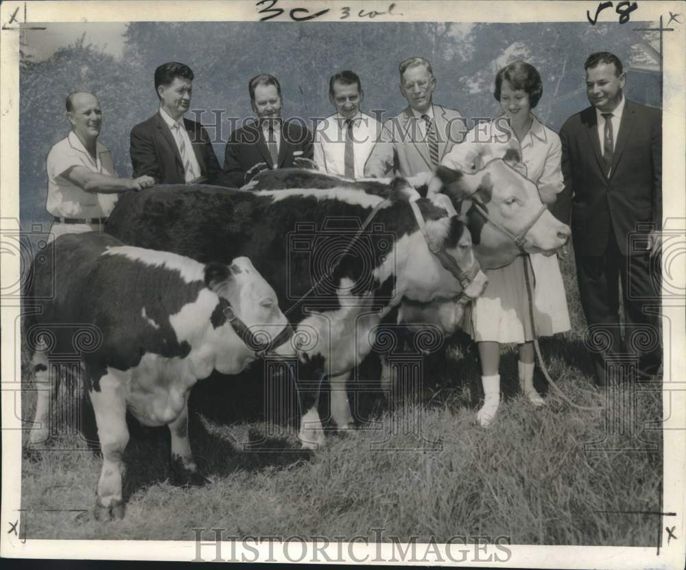 1960 Press Photo Judges with Ann Graugnard, winner and her steers - noo44078- Historic Images