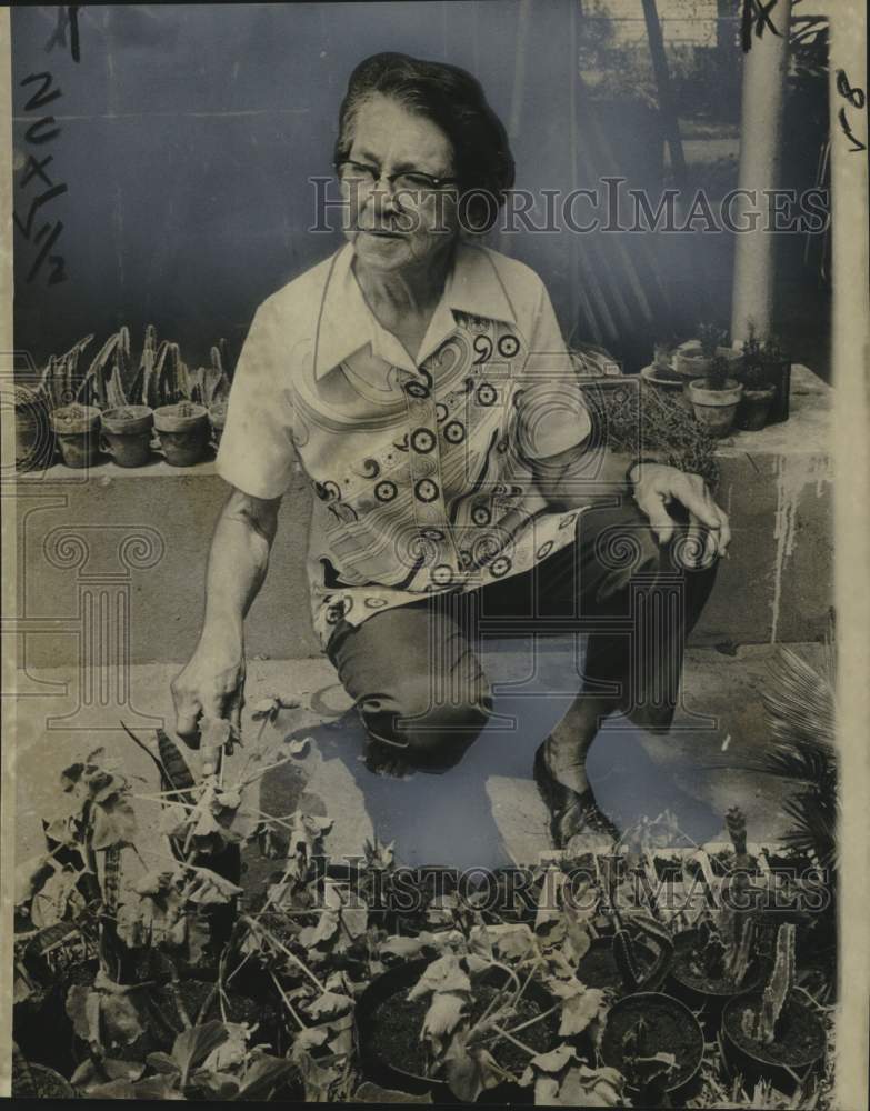 1975 Press Photo Self-taught Horticulturist Mrs. Ethel Marty in her garden - Historic Images