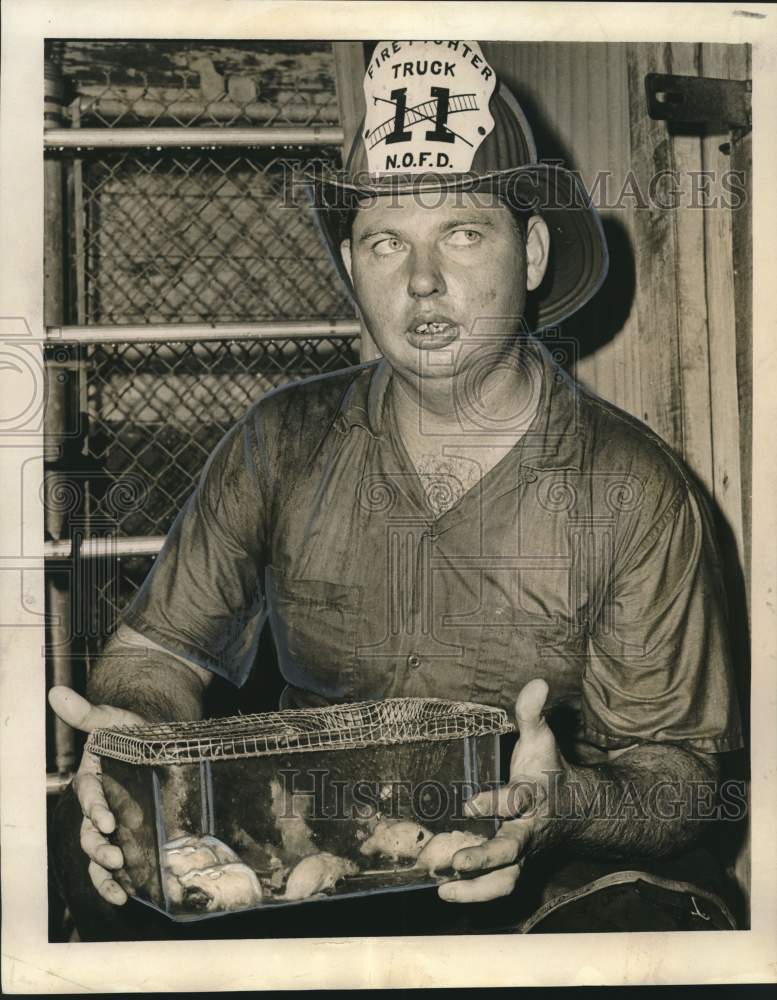 1965 Press Photo Fireman Joseph Miller with White Mice He Rescued - noo46611