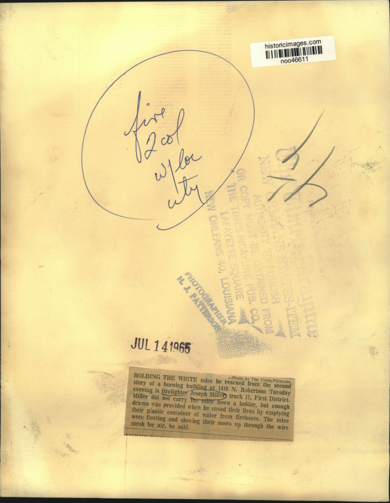 1965 Press Photo Fireman Joseph Miller with White Mice He Rescued - noo46611