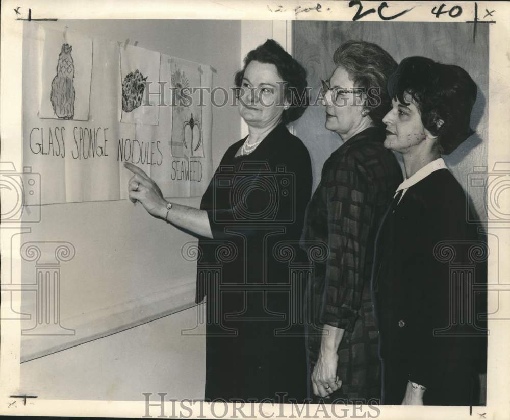 1965 Press Photo National Federation of Business and Professional Women&#39;s Club