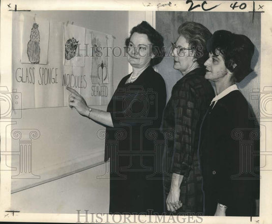 1965 Press Photo National Federation of Business and Professional Women's Club