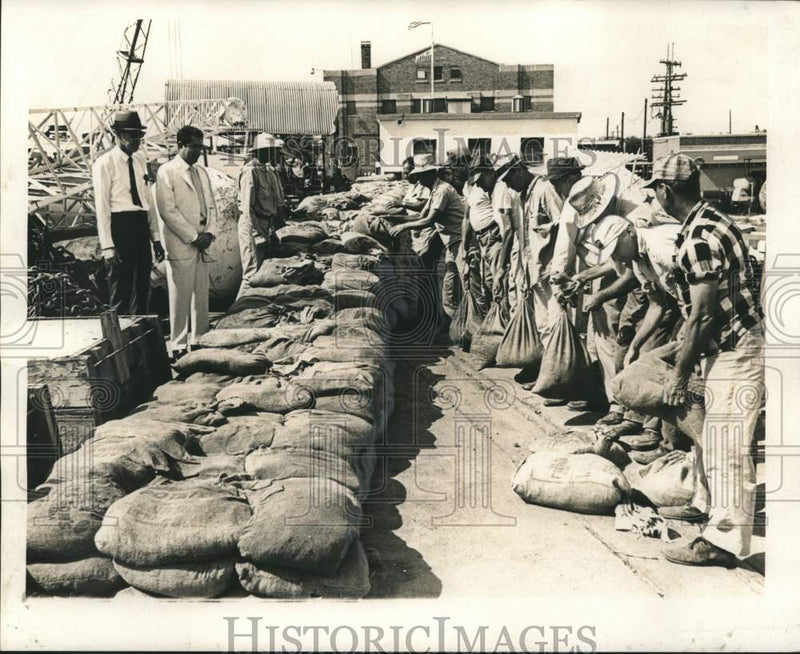 Load image into Gallery viewer, 1967 Press Photo Emergency sandbagging begun by New Orleans Levee Board
