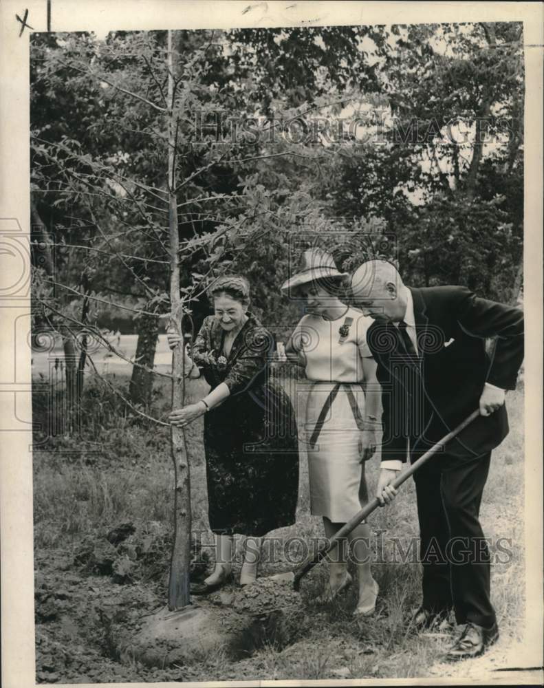 1963 Press Photo Hopeful Planters planting Cypress trees at Audubon Park