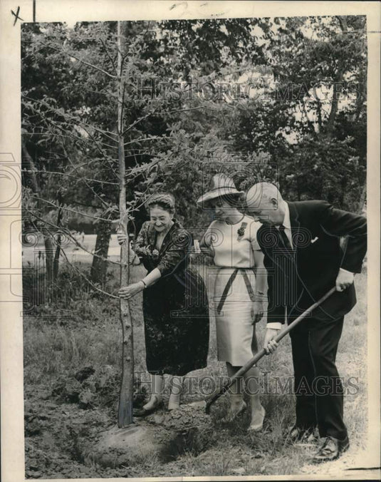 1963 Press Photo Hopeful Planters planting Cypress trees at Audubon Park