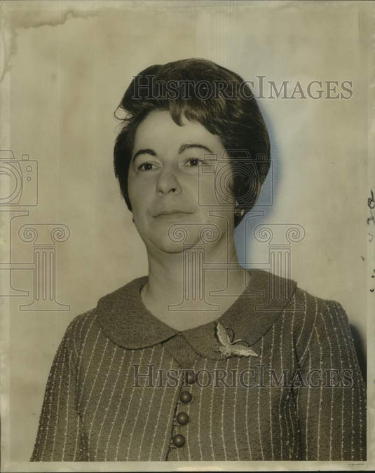 1966 Press Photo Mrs. Frederick J. Michon, Women's Auxiliary- Dental Association- Historic Images