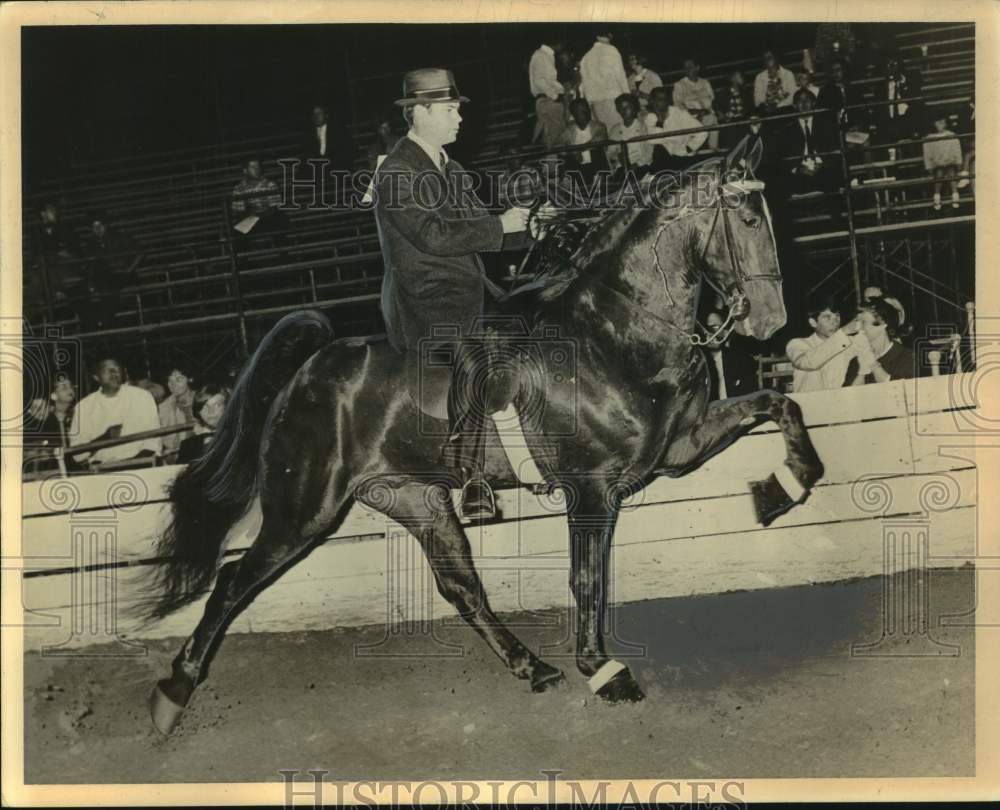 1969 Press Photo David Graves rides Horse at New Orleans Charity Horse Show