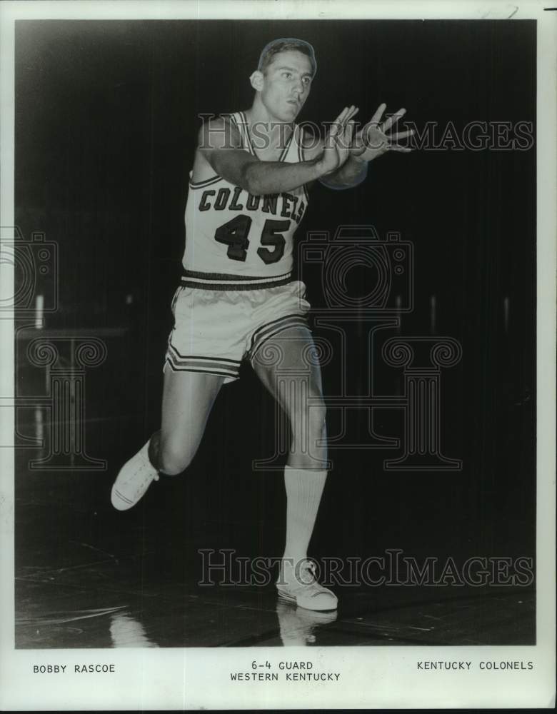 1968 Press Photo Bobby Rascoe, Basketball Guard for Kentucky Colonels- Historic Images