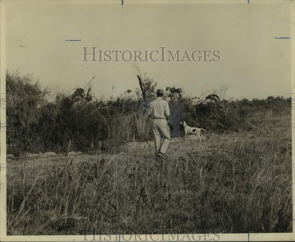 1964 Press Photo Walter Hack and hunting dog move flush out ground quail- Historic Images