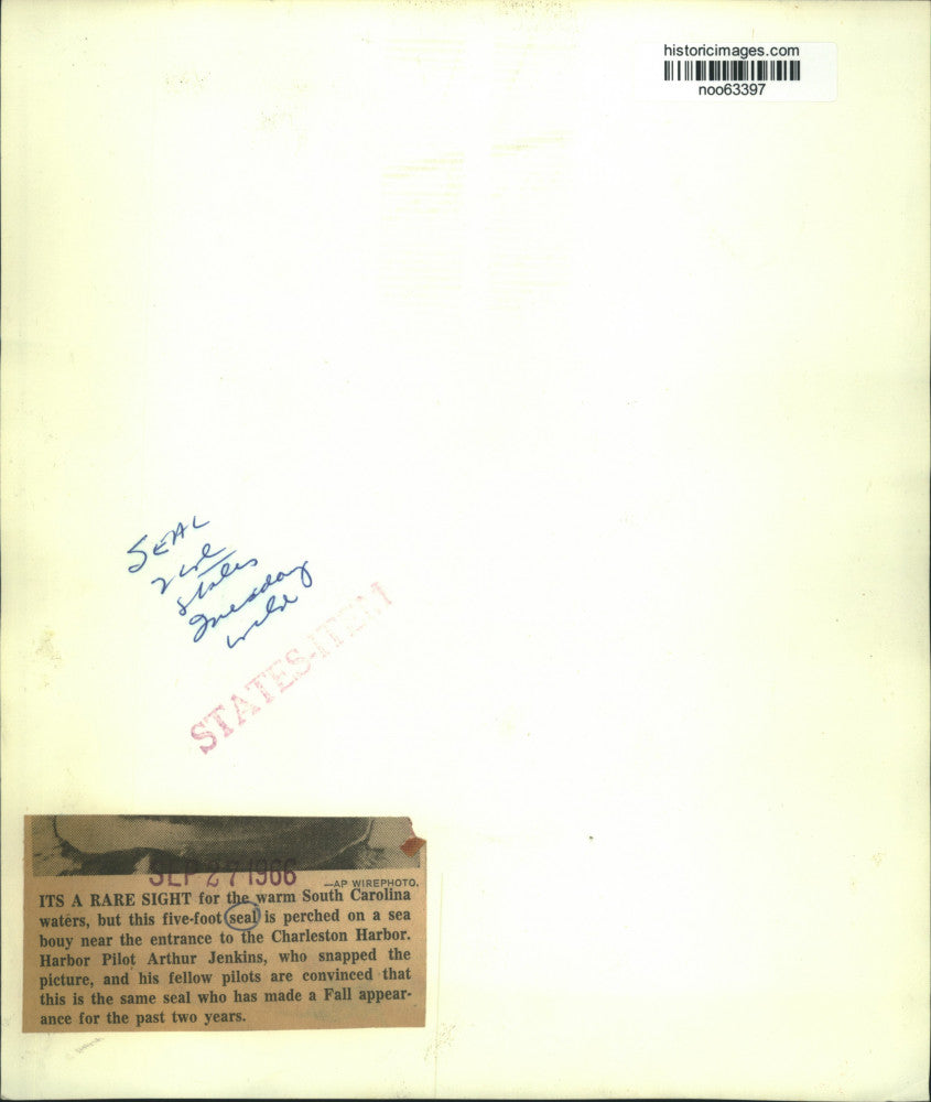 1966 Press Photo Seal on a Bouy in Charleston Harbor, South Carolina - noo63397