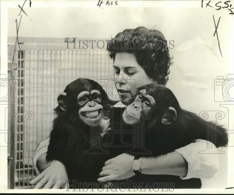 Load image into Gallery viewer, 1966 Press Photo Research Associate Dr. Frances Fitz-Gerald, infant Chimpanzees
