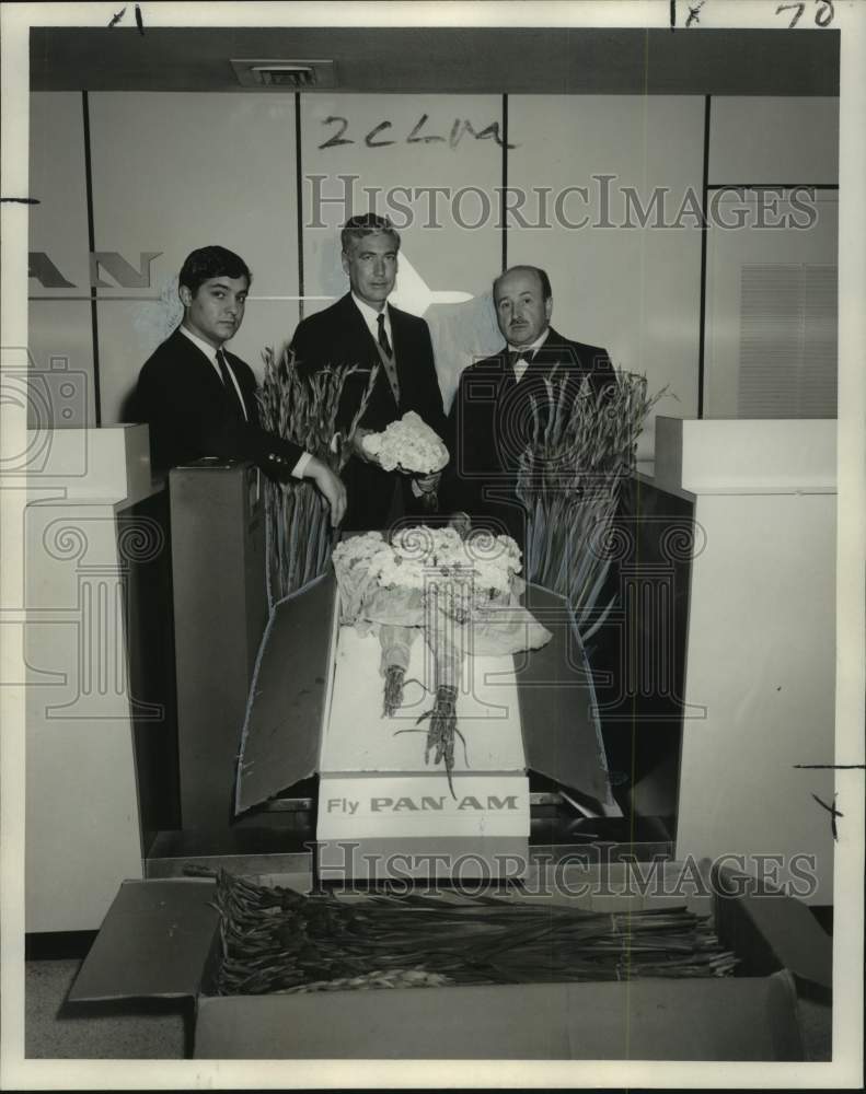 Load image into Gallery viewer, 1966 Press Photo Carnations and Gladioli from Argentina at New Orleans Airport
