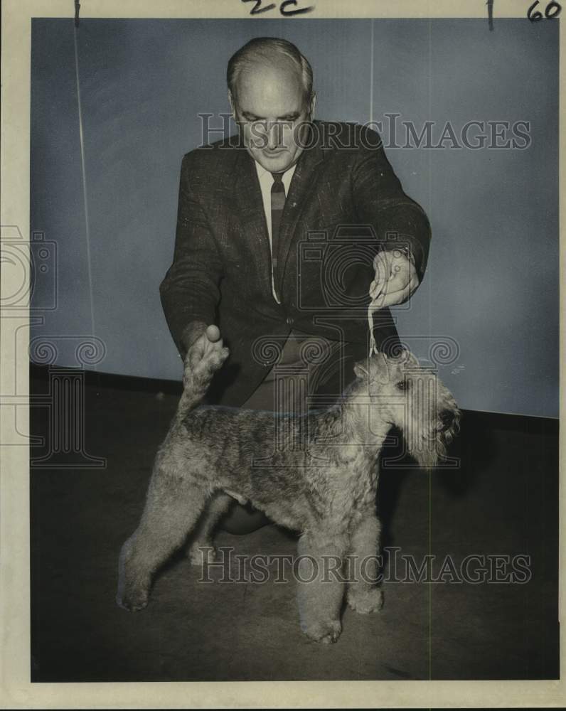 1969 Press Photo Champion Wyndham Troubador Lakeland Terrier, Best in Show