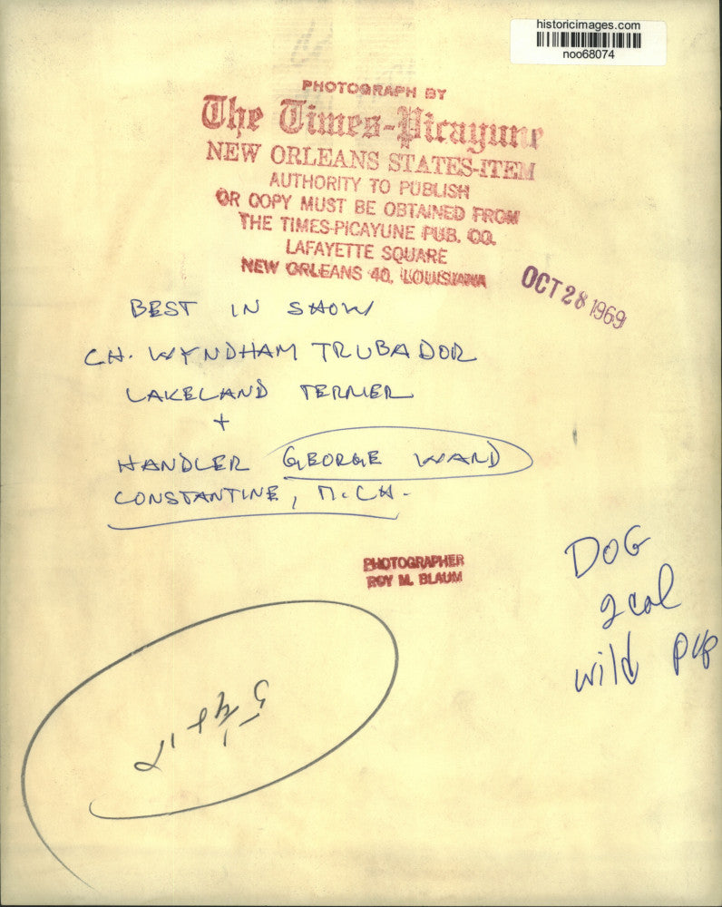 1969 Press Photo Champion Wyndham Troubador Lakeland Terrier, Best in Show