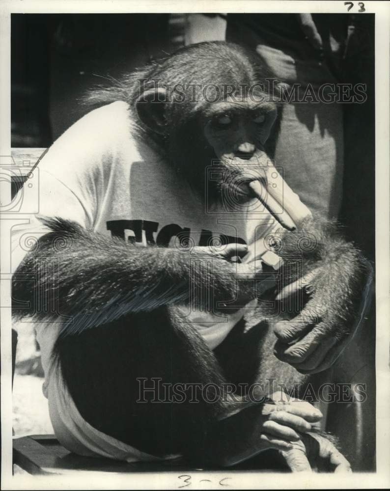 1973 Press Photo Jo-Jo, Sierra Club&#39;s Wildlife Disaster Fund Obedience Winner