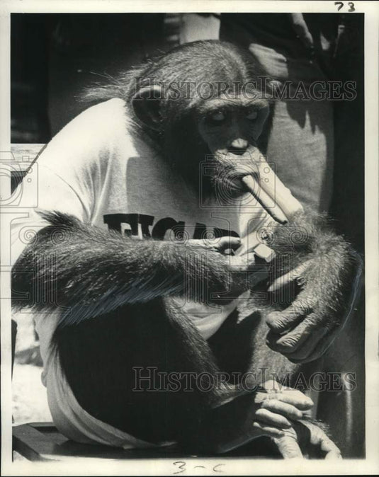 1973 Press Photo Jo-Jo, Sierra Club's Wildlife Disaster Fund Obedience Winner