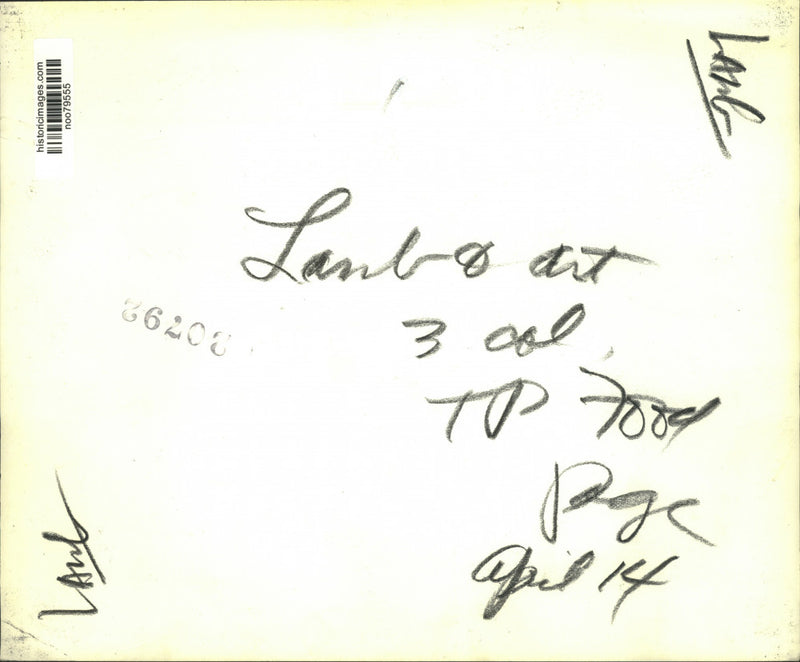 Load image into Gallery viewer, Press Photo Lamb dish, bread and coffee prepared for dinner - noo79555
