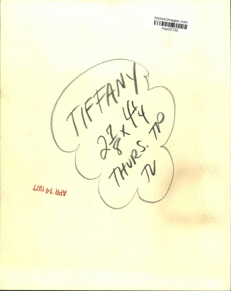 1977 Press Photo Tiffany Holmes, author of Woman's Astrology - nop33132