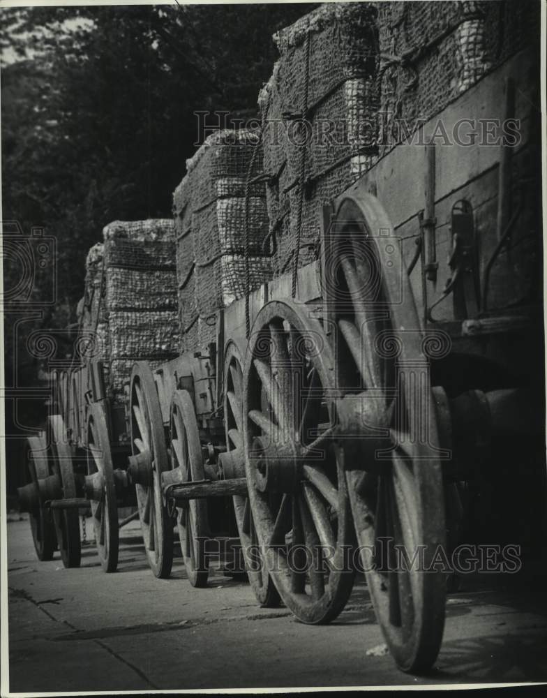 Load image into Gallery viewer, 1974 Press Photo Side view of a caravan of wagons in "Mandingo" movie
