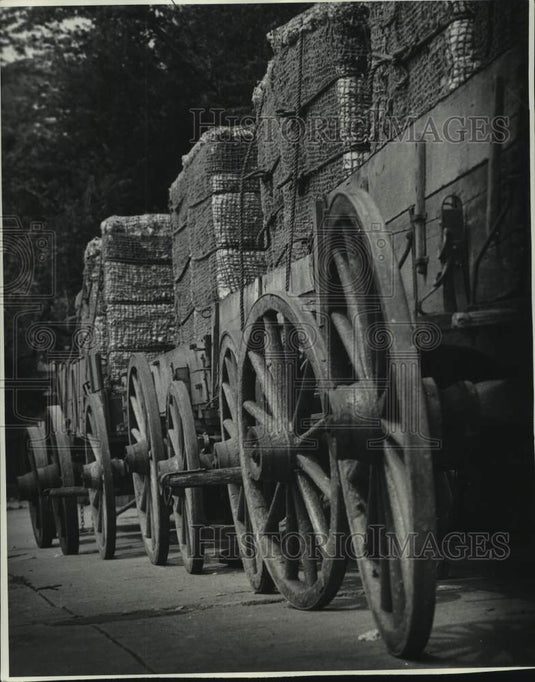 1974 Press Photo Side view of a caravan of wagons in "Mandingo" movie